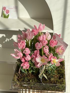 光影花园 · 亚克力花盒