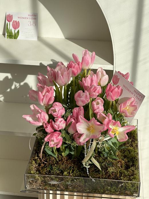 光影花园 · 亚克力花盒 商品图0