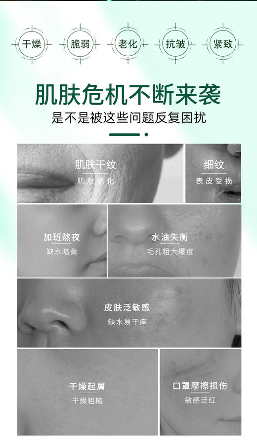 拾光肌因海茴香多肽抗皱精华乳 商品图6