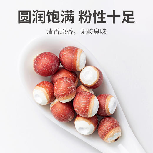方家铺子 红芡实300g/袋装 商品图9