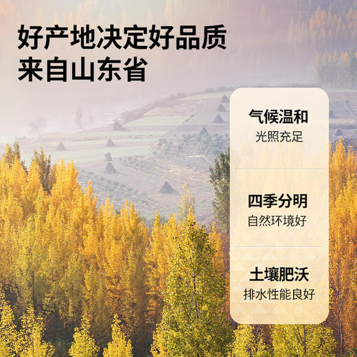 【正宗同仁堂品牌】北京同仁堂 青源堂 玫瑰花50克  源自山东 干度适中 拒绝熏硫 SY 商品图2