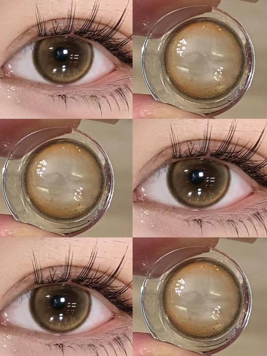 【白狮超推荐！】Medios日抛 ·茶C乌龙&橙C气泡&柚C冷萃｜14.2mm白狮参考着色中等直径｜升级一盒10片装 商品图6