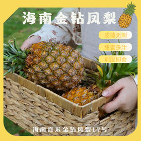 【4.5-5斤 剥皮即食】海南金钻手撕凤梨17号