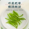 茶马世家丨恩施硒茶 高山炒青 湖北绿茶 一级 250g 商品缩略图4