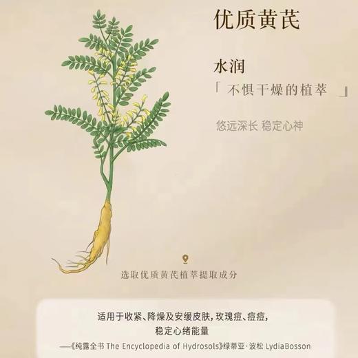 【九九专属】黄芪露 500ml*2瓶装加赠喷雾瓶1个 商品图1