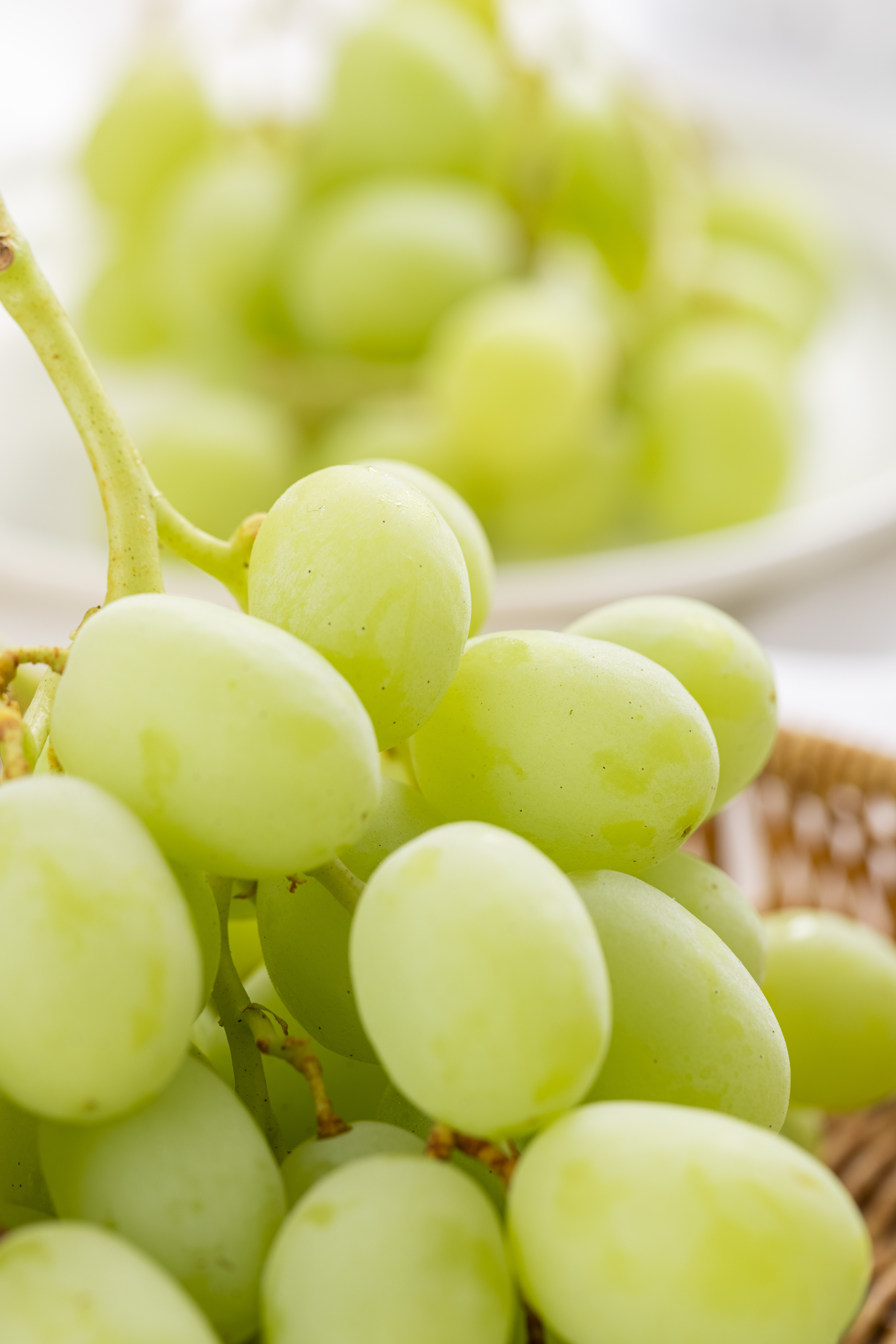 澳洲空运 甜地球青提 无籽提子/葡萄 2斤/4斤 顺丰空运