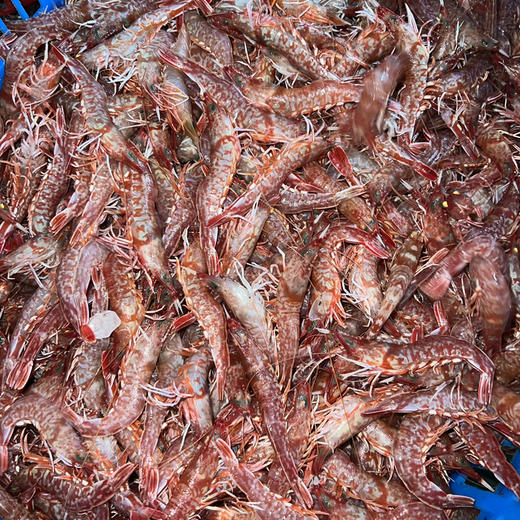 【野生樱花虾】纯正野生海虾，速冻锁鲜，肉质Q弹，营养美味，妈鲜乐广东潮汕海鲜基地发货 商品图2