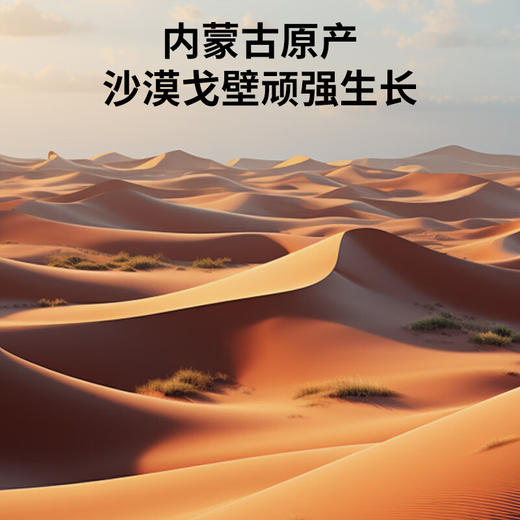 【正宗同仁堂品牌】北京同仁堂 青源堂 阿拉善肉苁蓉110克 内蒙古原产 片大肉厚 口感浓醇 汤色透亮 SY 商品图1