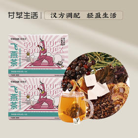 飞燕茶 4g*10袋 决明子陈皮荷叶绿茶紫苏叶  远离湿态