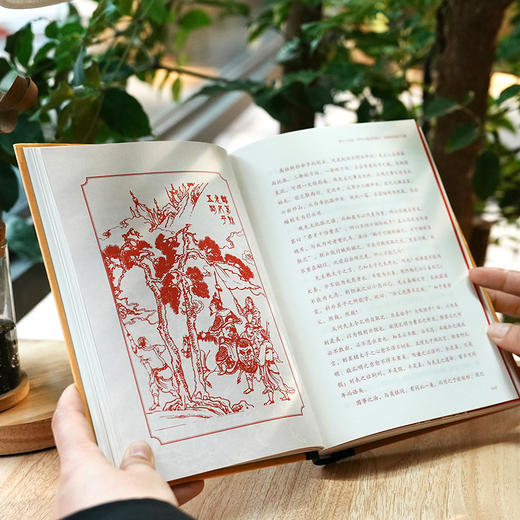 毛宗岗批评本三国演义(全3册) 商品图11