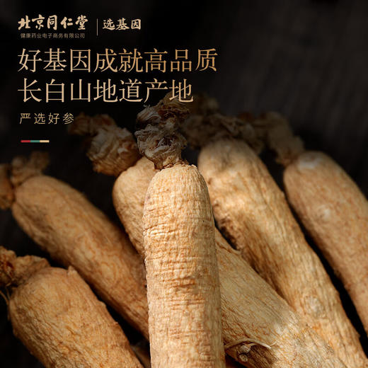 【正宗同仁堂品牌】北京同仁堂 青源堂 人参5支100克 礼盒  精选长白山生晒参 形体细长 体顺不分叉 SY 商品图2