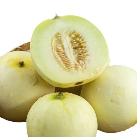 【郁金香小甜瓜】 现摘现发，头茬小香瓜，皮薄肉厚细腻香甜水份充足，可食率85%以上，解腻开胃 商品图4