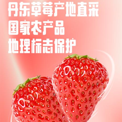 [屁侠推荐]一鸣草莓牛奶 生牛乳高达90% 丹东新鲜草莓制酱添加 3箱装 商品图3