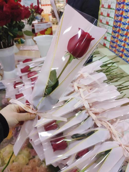 单枝红玫瑰 商品图2
