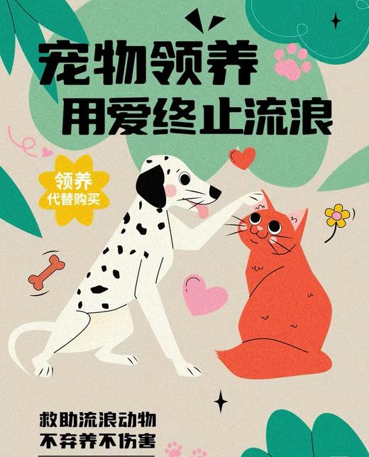 #以领养代替购买#给TA一个家 救助帮助流浪动物（本链接勿拍，仅提供领养信息） 商品图1
