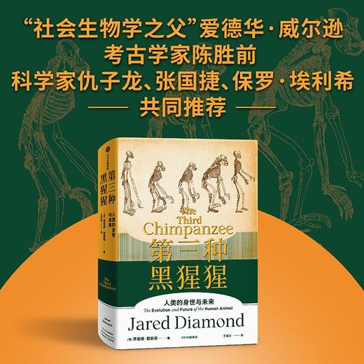 第三种黑猩猩 人类的身世与未来 贾雷德戴蒙德著 商品图1
