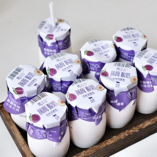 新疆马三三酸奶·小白罐原味酸奶·零蔗糖酸奶·树莓酸奶·西梅酸奶·四种口味混搭装·全国包邮· 商品图6