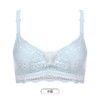 都市丽人凉感小凉风内衣女蕾丝文胸AB杯适穿3/4杯薄款树脂胶圈三排扣LB42B2 商品缩略图9
