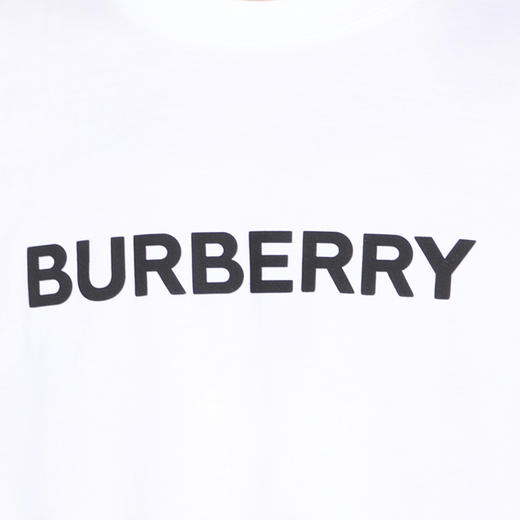 BURBERRY 巴宝莉 男士字母徽标印花棉质圆领短袖T恤 白色 8084234 A1464 商品图3