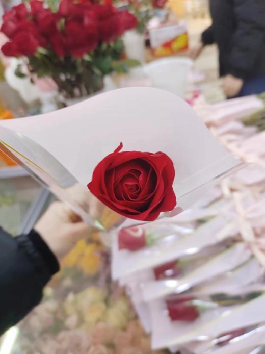 单枝红玫瑰 商品图0