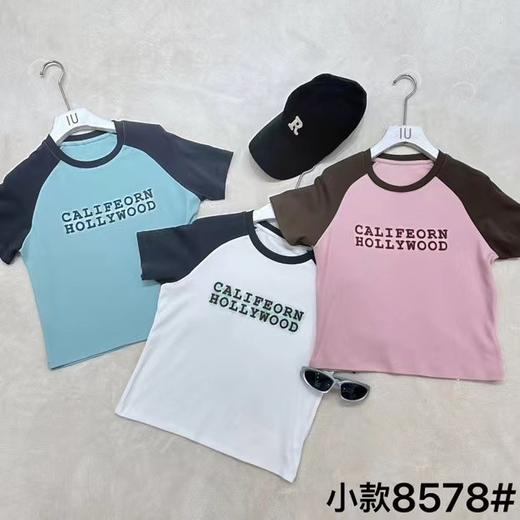 女英文圆领短袖T8578 商品图0