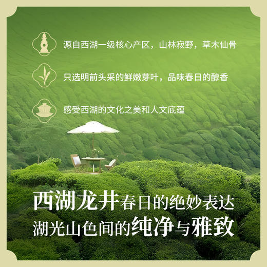 非遗大师樊生华2024明前西湖龙井200g【龙坞核心产区】 商品图5
