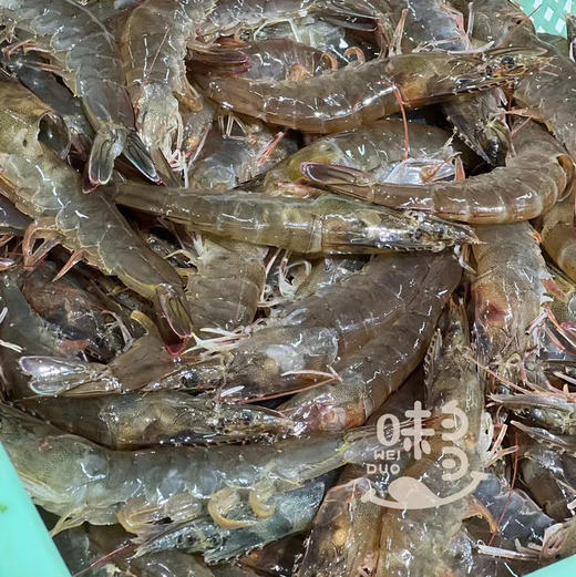 味多·鲜食。椒盐大虾🍤蜜汁爆鱼&无骨蜜汁凤抓。虾肉质紧实开好背去除虾线，爆鱼新鲜回味无穷；无骨凤抓Q弹嫩滑。大鹅掌脆弹滑嫩；大醉虾味道沁人心脾 商品图2