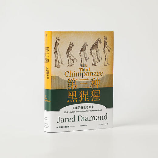 第三种黑猩猩 人类的身世与未来 贾雷德戴蒙德著 商品图3