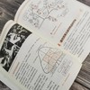 柑橘栽培管理手册   [日]岸野 功([日]岸野 功) 商品缩略图3