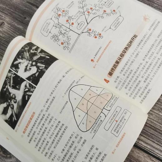 柑橘栽培管理手册   [日]岸野 功([日]岸野 功) 商品图3