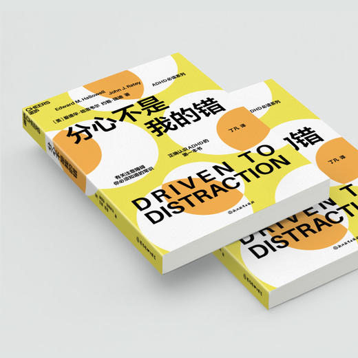 分心不是我的错（2023版） 商品图2