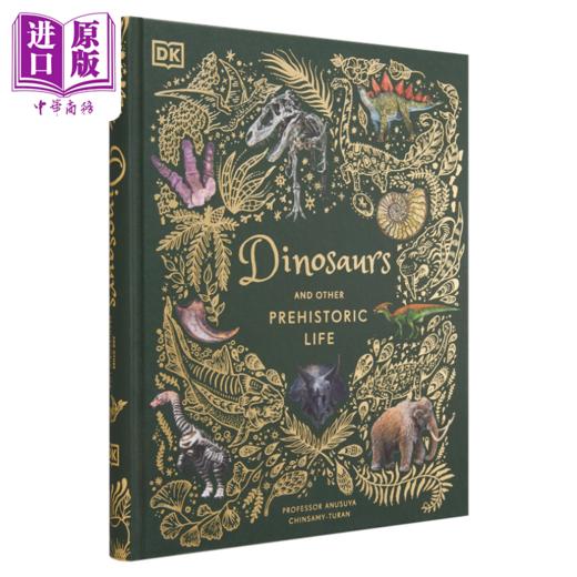 【中商原版】DK典藏博物馆系列 5本套装 DK Children's Anthologies 英文原版 Will Gater 百科科普宇宙远古生物动植物 商品图4