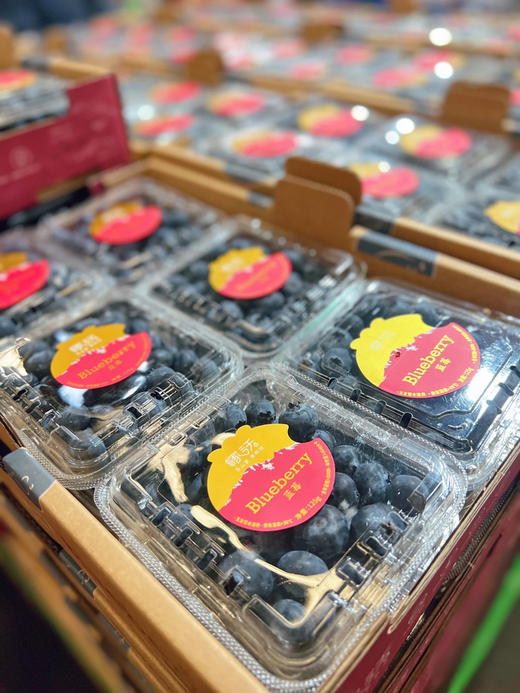 稼沃蓝莓🫐雪山甜蓝莓 天花板的蓝莓 好山好水 种出来的东西也是好的送礼，追求高品质，强烈推荐[强] 商品图9