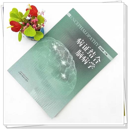 病证结合脑病学 过伟峰 主编 脑病的病因病机 病机证素辩治 脏腑病症辩治 病症结合诊治的意义 中国中医药出版社9787513283212  商品图2