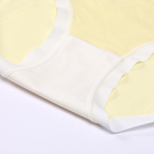 都市丽人功能系列生理裤内裤女锦泳女士内裤中腰平角内裤LK48A3 商品图5