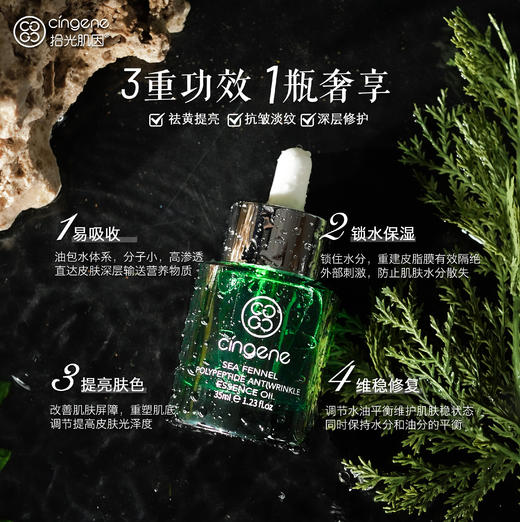 【海茴香系列】海茴香多肽抗皱精华油 商品图2