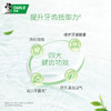 好来/黑人牙膏 茶倍健龙井绿茶190g 商品缩略图3