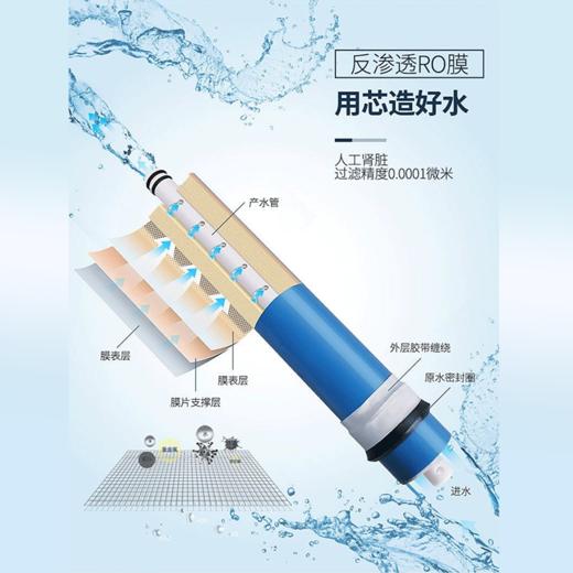 艾可丽 赫斯提亚-Ⅲ 反渗透家用直饮净水器过滤厨下RO膜净水机 商品图3