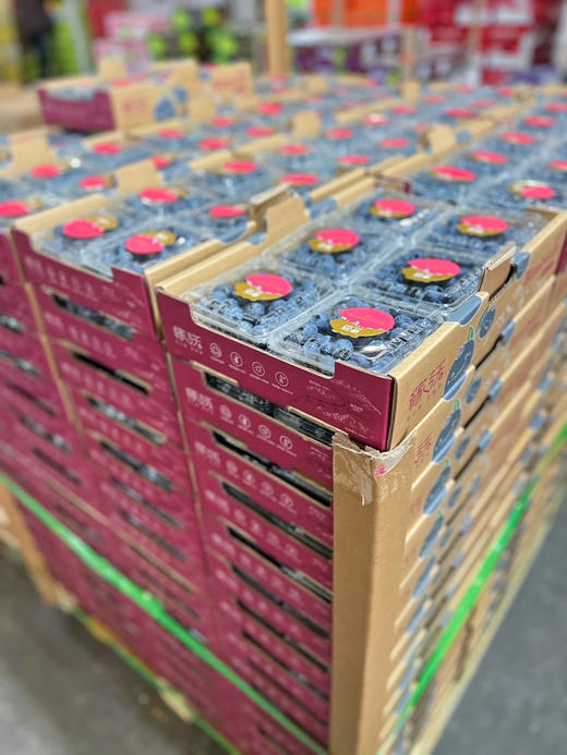 稼沃蓝莓🫐雪山甜蓝莓 天花板的蓝莓 好山好水 种出来的东西也是好的送礼，追求高品质，强烈推荐[强] 商品图8