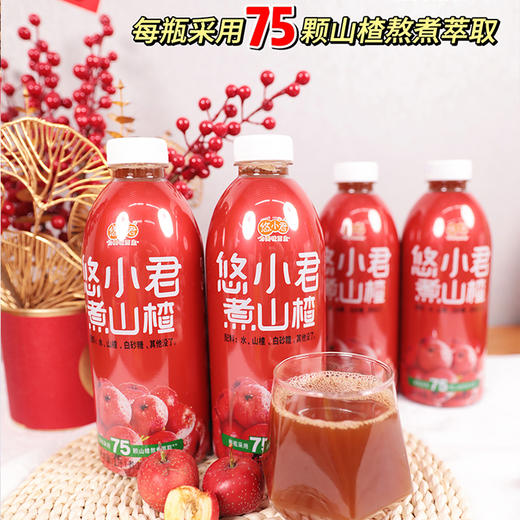 山楂汁水果汁  大餐解腻饮料   原汁草本健康  解腻冰镇更爽口 商品图0