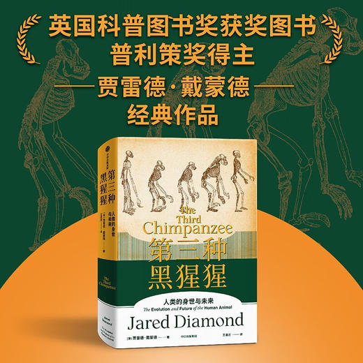 第三种黑猩猩 人类的身世与未来 贾雷德戴蒙德著 商品图2