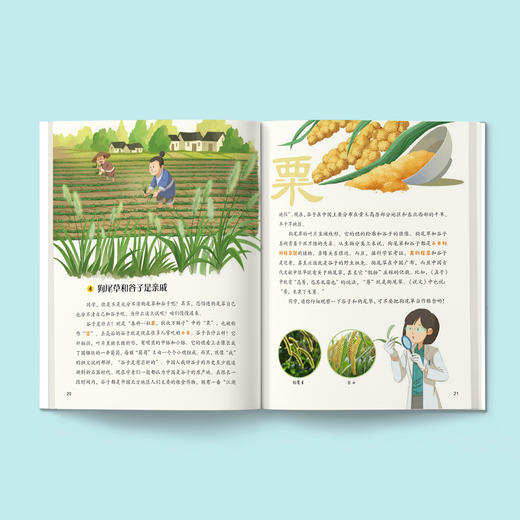 《语文课本里的趣味百科》（1-6年级 全12册） 商品图2