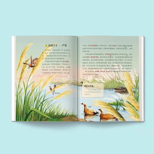 《语文课本里的趣味百科》（1-6年级 全12册） 商品图12