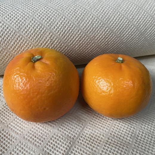 【直邮】有机沃柑丨5斤/9.5斤（大理素方舟） 商品图1