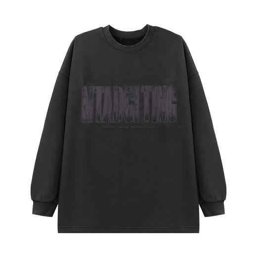 【新品上新】HX 春季圆领卫衣C106410015101/02 商品图2