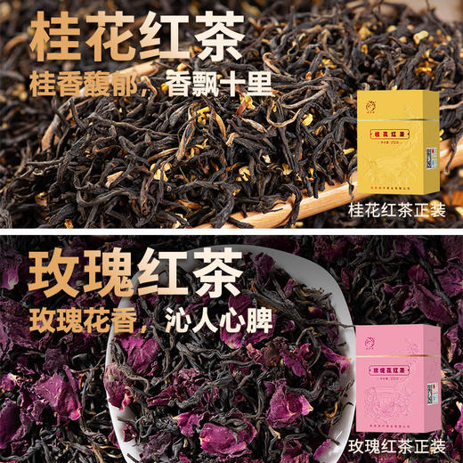 凤宁号 | 臻品茶集合12*4g（12泡） 商品图13