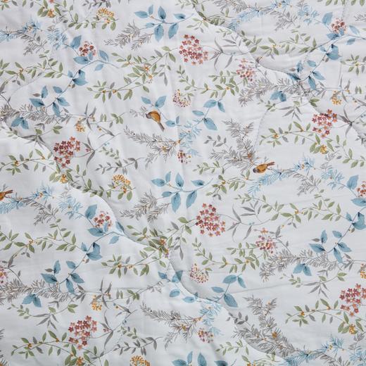 全棉印花薄被i-n 双人 商品图5