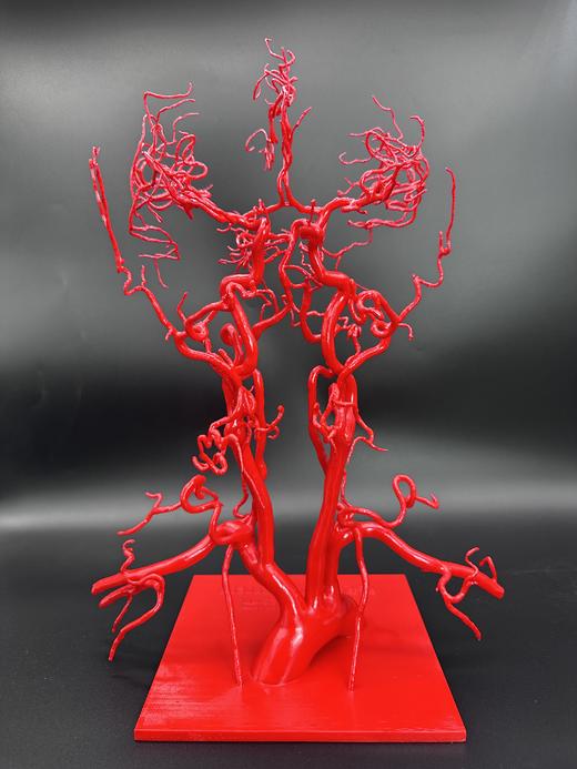 【头颈血管模型】3.0版 商品图0