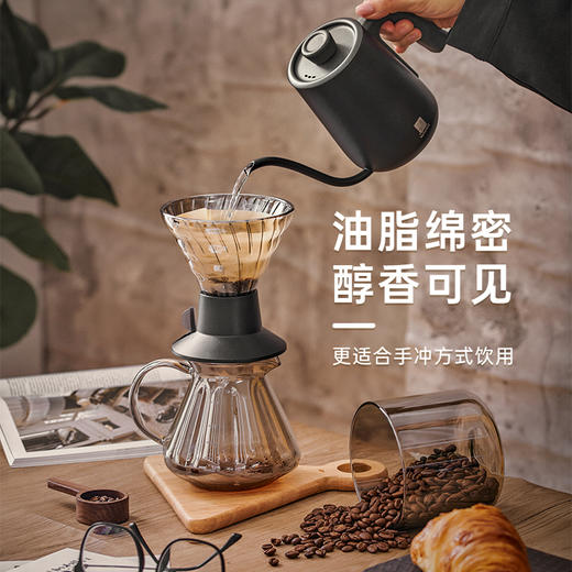 热科院香饮所联合研制/兴隆风味咖啡豆334g/兴隆热带植物园 商品图2