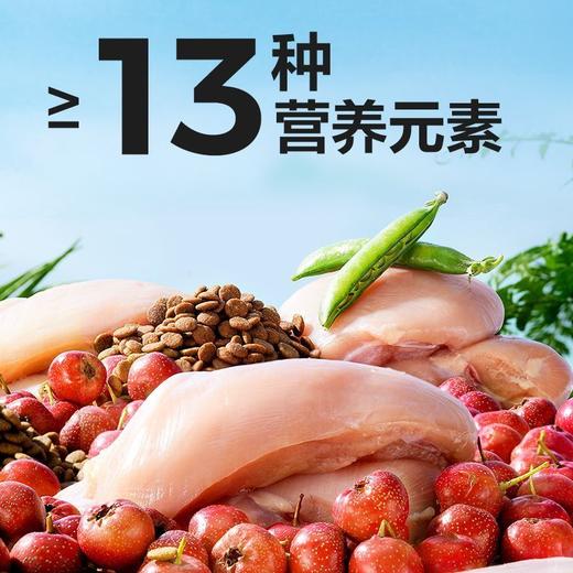 网易严选4斤/20斤 全犬期全犬种通用型犬粮 商品图3